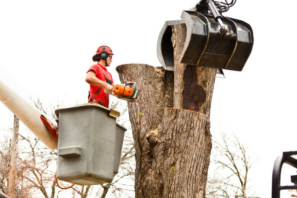 Mulching Services in Prairie Heights, WA